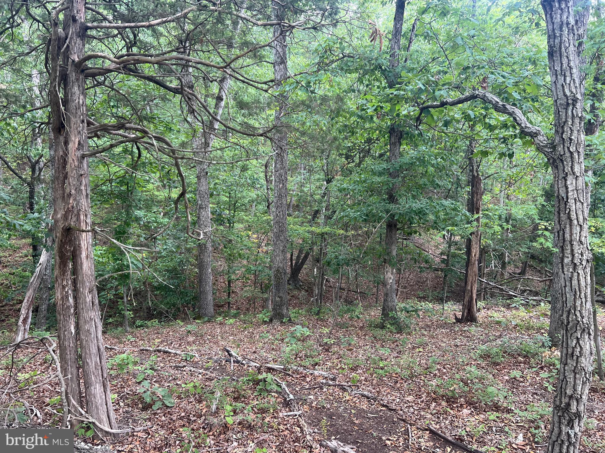 Lot 36 Red Hawk Road Middletown, VA 22645 - Photo 8 of 18