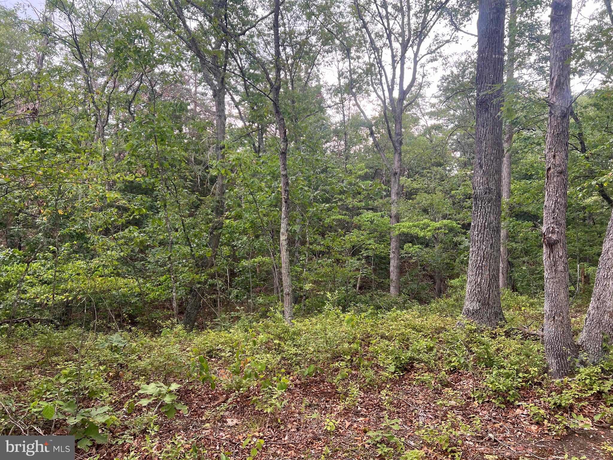 Lot 36 Red Hawk Road Middletown, VA 22645 - Photo 9 of 18