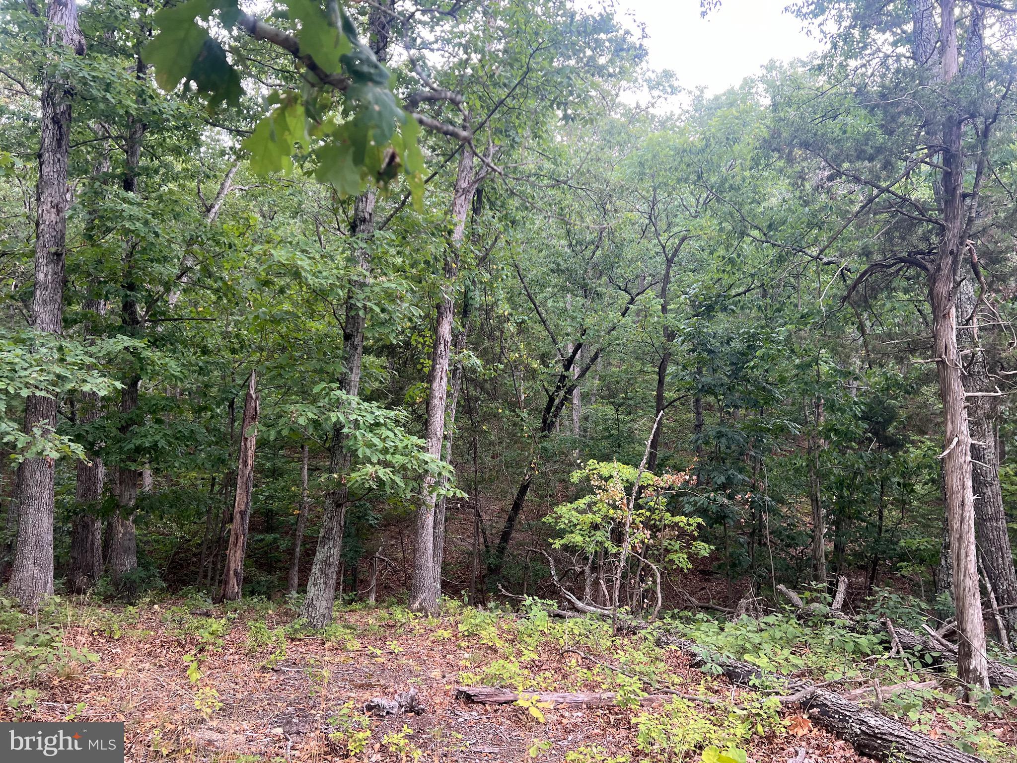 Lot 36 Red Hawk Road Middletown, VA 22645 - Photo 10 of 18