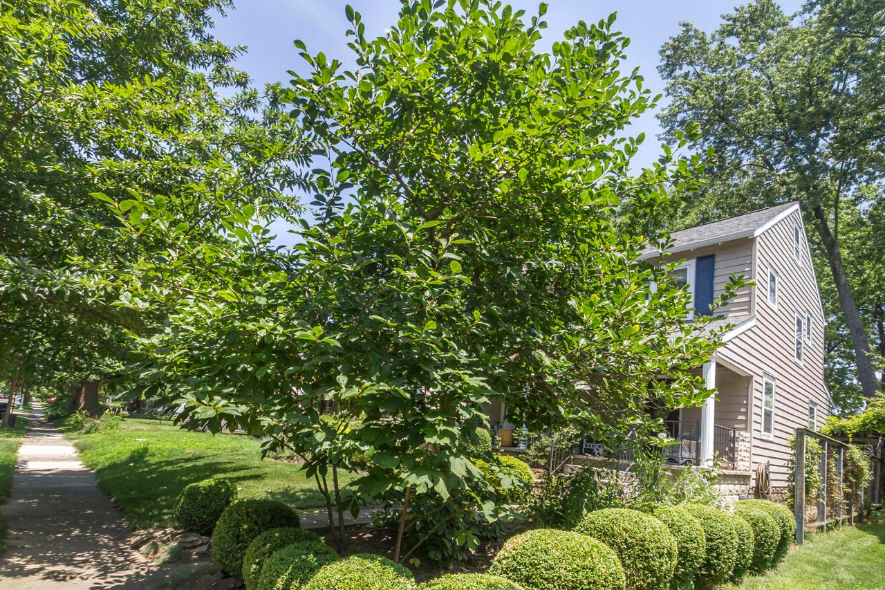 852 South Cassingham Road Columbus, OH 43209 - Photo 9 of 73