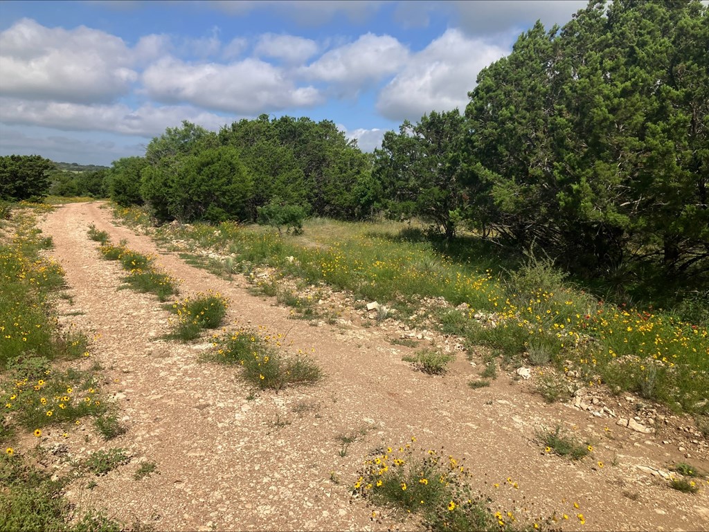 4605 West Ranch Road Mason, TX 76856 - Photo 24 of 26