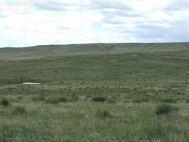 22045 Roxie Ridge View Peyton, CO 80831 - Photo 3 of 4 Gallery Image 3