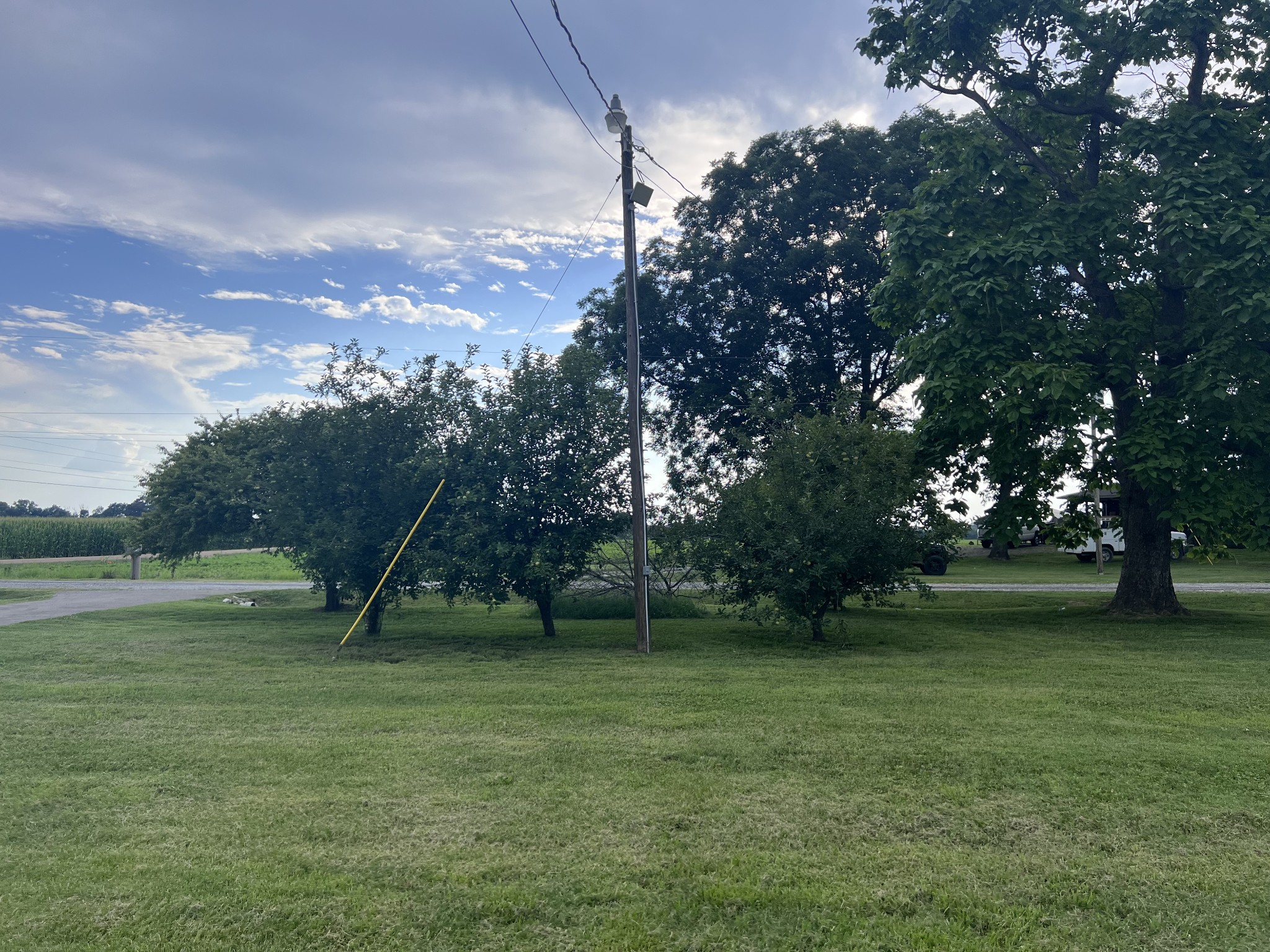 2206 Simmons Road Rives, TN 38253 - Photo 34 of 35 a view of a golf course with a lake