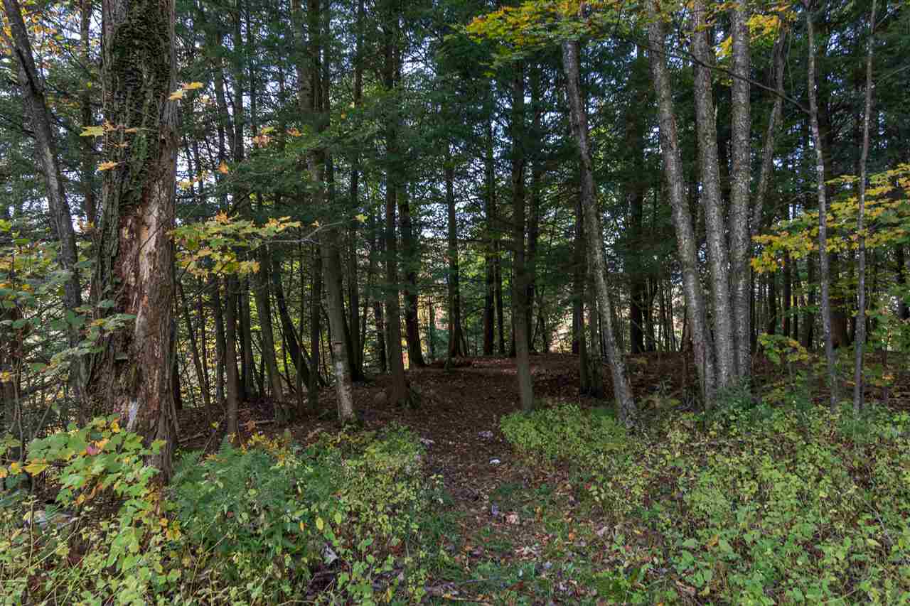 299 Huntington Woods Road Huntington, VT 05462 - Photo 29 of 31 Gallery Image 29
