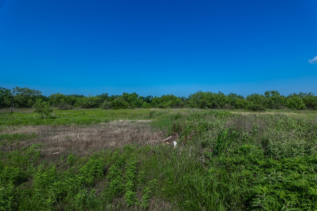 88291 Suaa Rd Well Lohn, TX 76852 - Photo 11 of 44 a view of a lush green forest with lots of trees