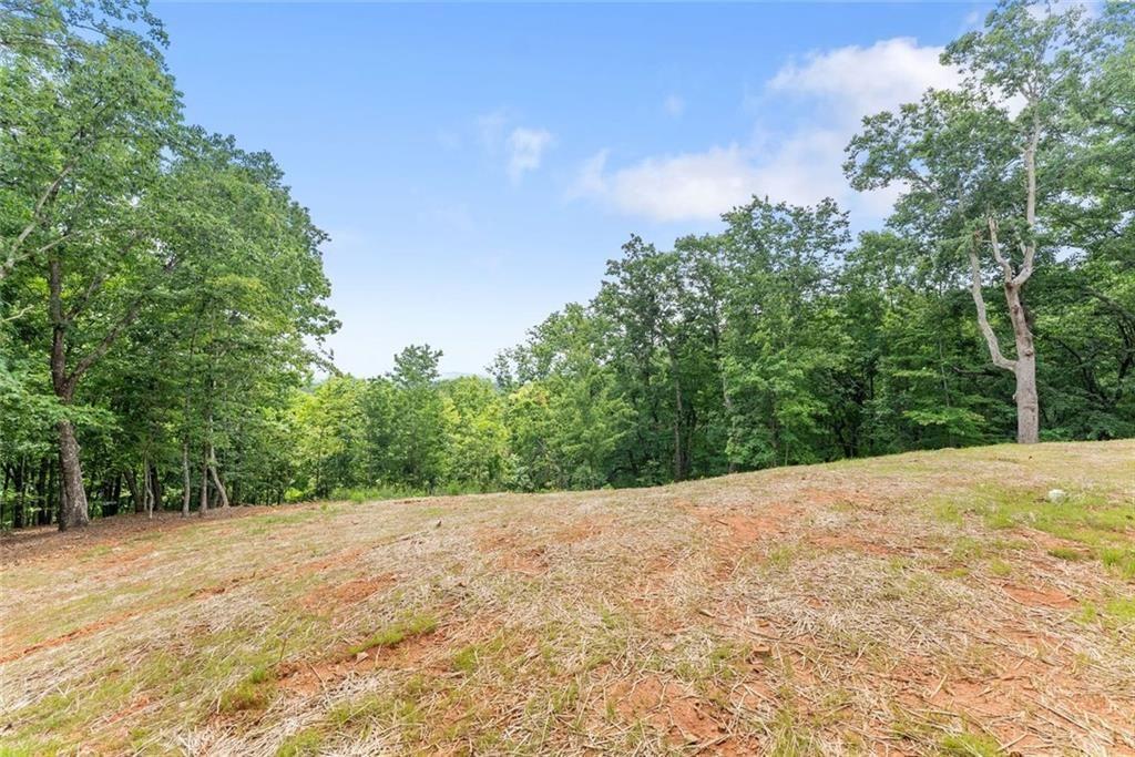 1055 South Laceola Road Cleveland, GA 30528 - Photo 63 of 81