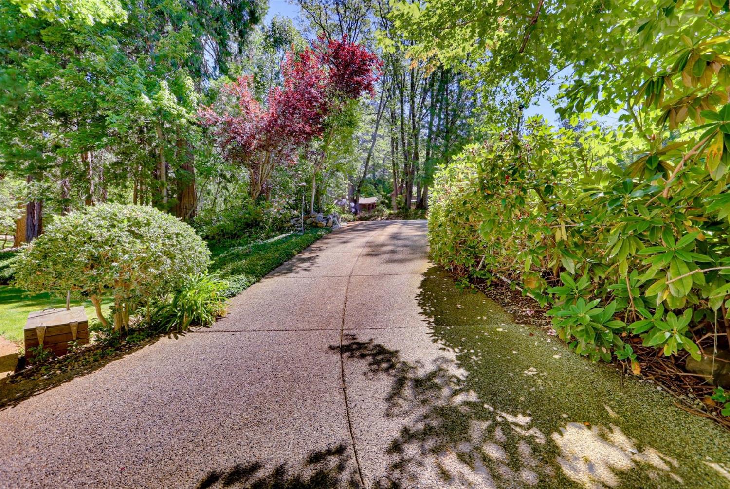 11010 Success Cross Road Nevada City, CA 95959 - Photo 82 of 89 Lush mature landscaping