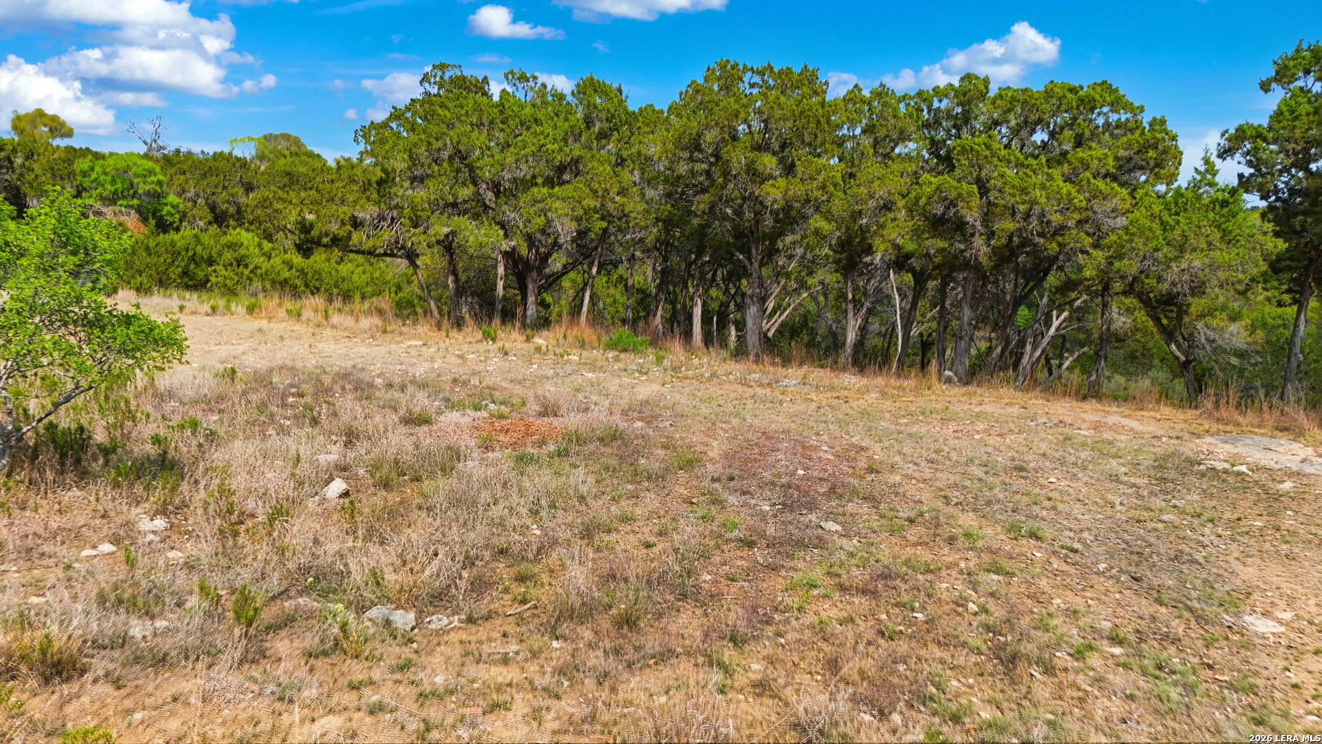 1033 Bluewater Place Spring Branch, TX 78070 - Photo 5 of 25 a view of a yard with a tree