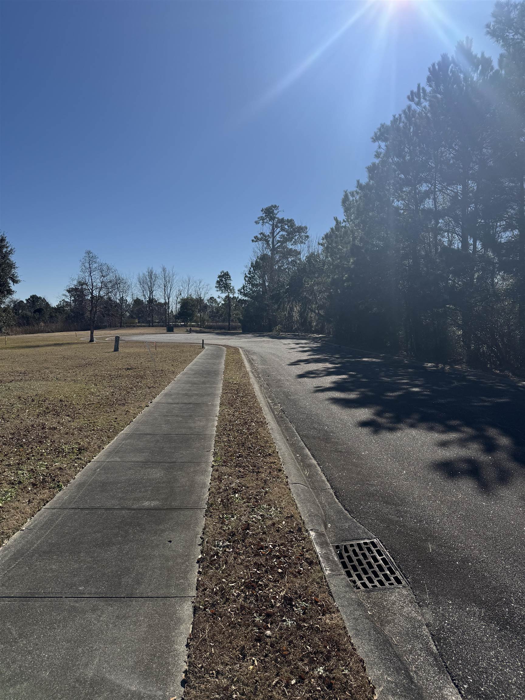 437 Rosebank Road Georgetown, SC 29440 - Photo 5 of 9