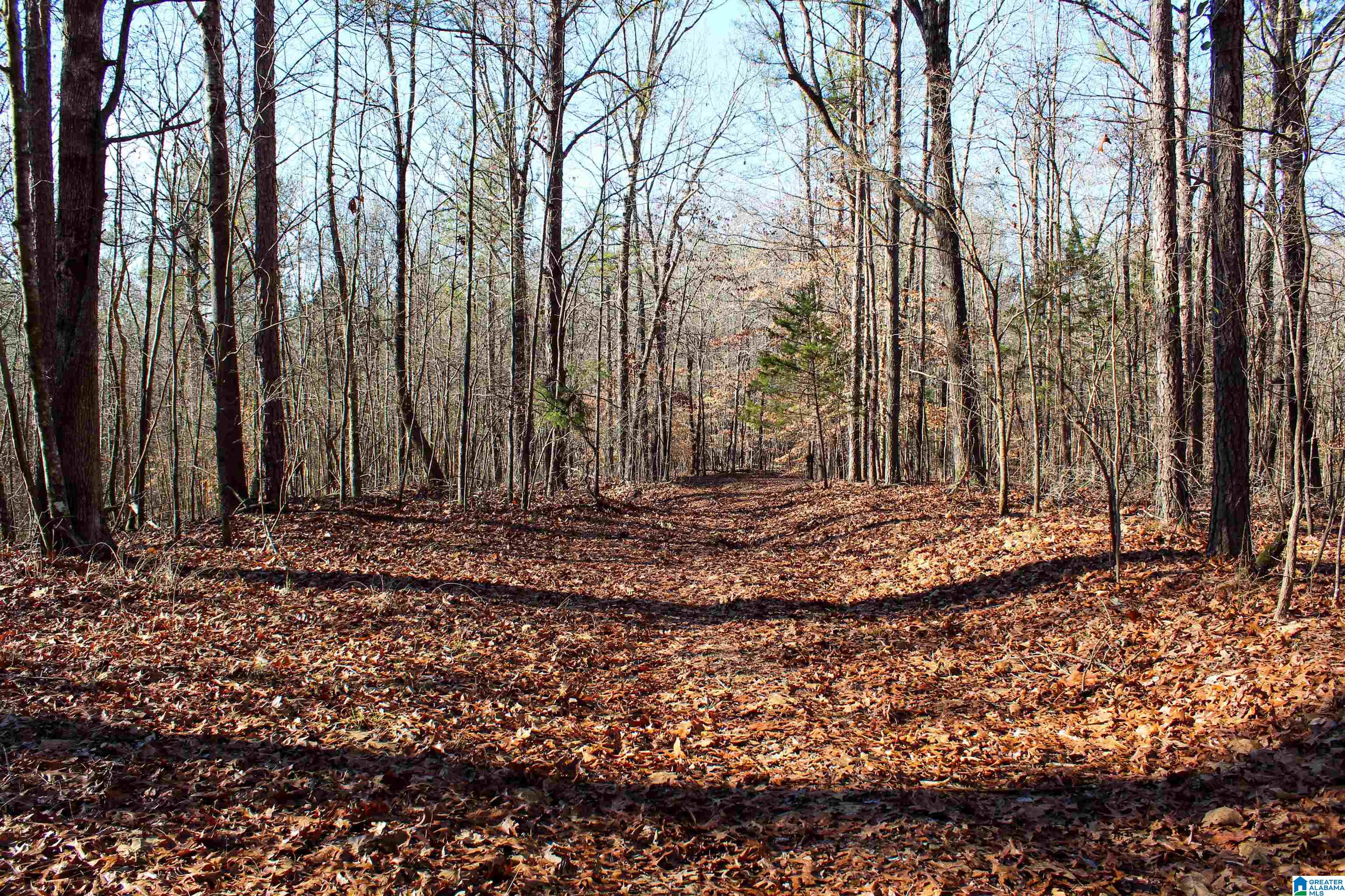 29 Highway Hamilton Al, Unit 1 Hamilton, AL 35570 - Photo 33 of 55