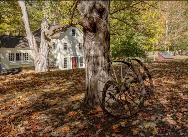 a view of a yard with plants and trees