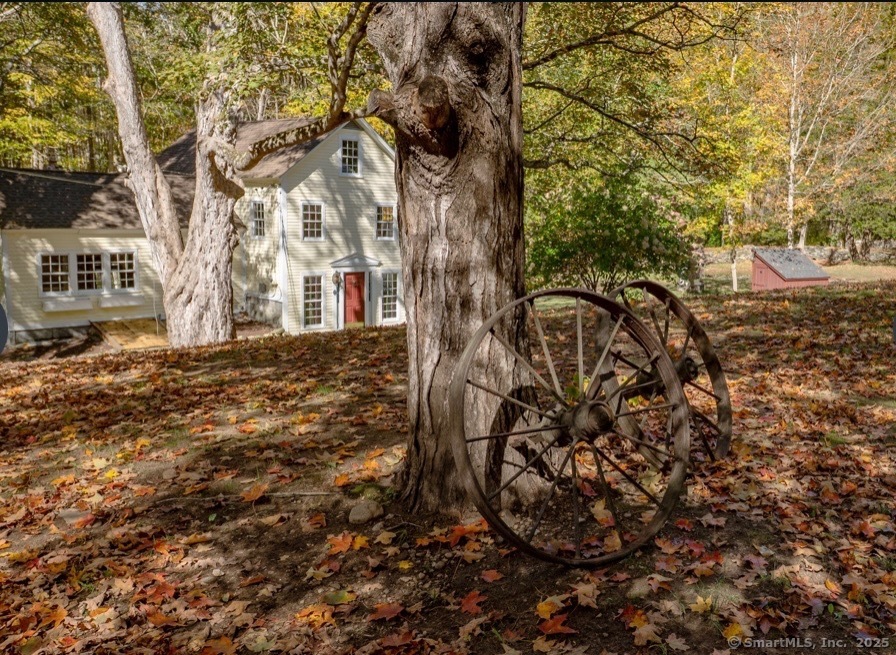 11 Phelps Road East Haddam, CT 06423 - Photo 2 of 30 a view of a yard with plants and trees