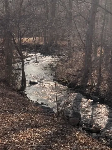 a backyard of a house with lots of plants and trees