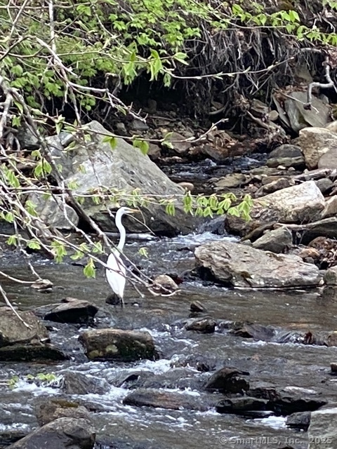 11 Phelps Road East Haddam, CT 06423 - Photo 27 of 30 a backyard of a house with lots of plants and trees