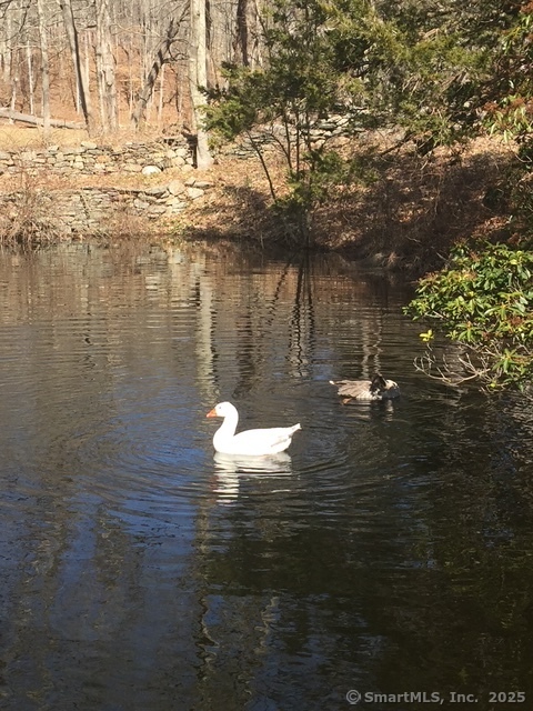 11 Phelps Road East Haddam, CT 06423 - Photo 28 of 30 a water pool that has lawn chairs under an umbrella