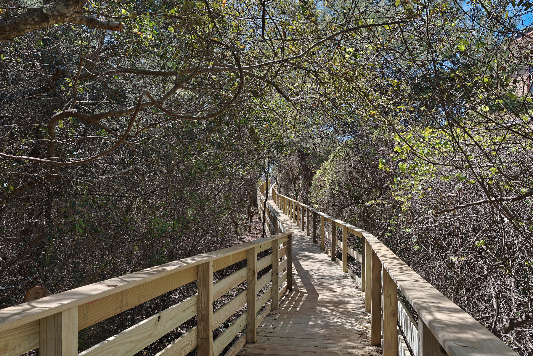 84 Morgans Trail Santa Rosa Beach, FL 32459 - Photo 58 of 64 39_Bartons_Way_20160404_440