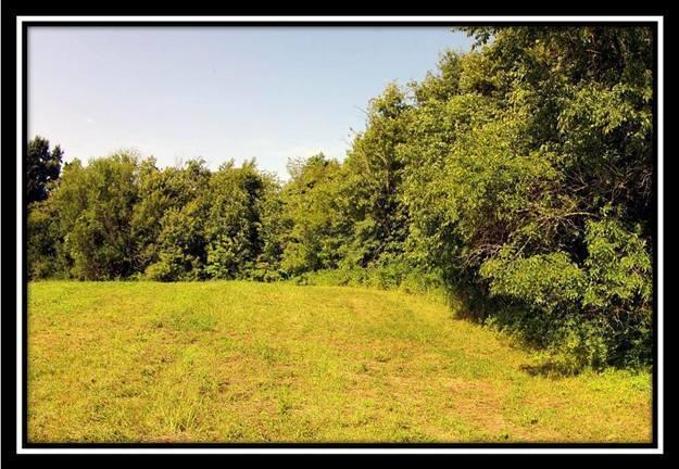 70 Mt Zion Road Southwest Lancaster, OH 43130 - Photo 14 of 17