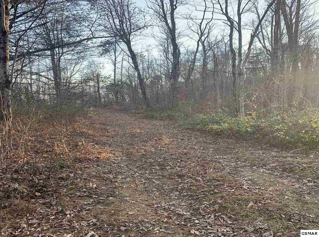 314 Hickey Road Sevierville, TN 37876 - Photo 28 of 36