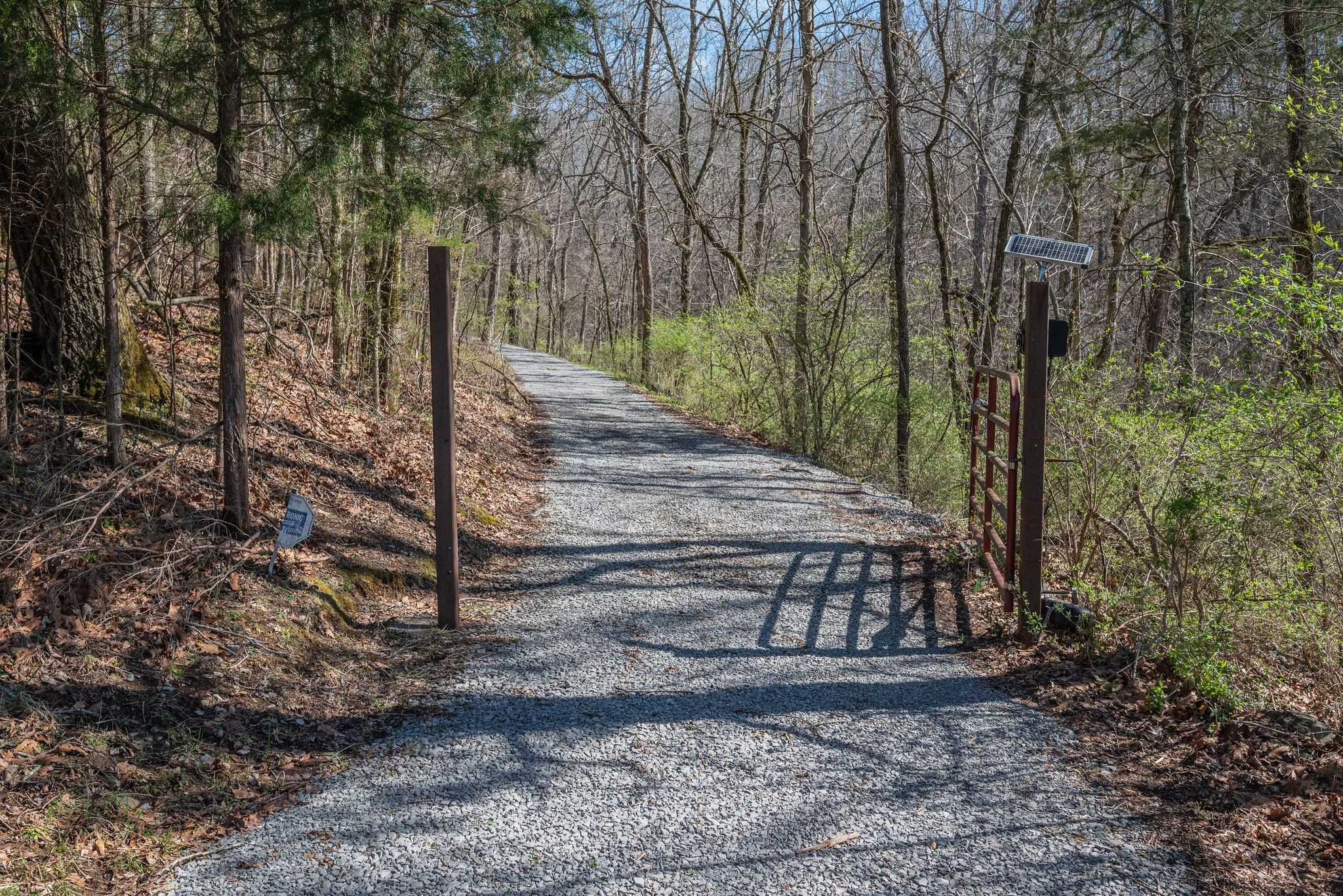 3609 Edgar Dillard Road Greenbrier, TN 37073 - Photo 3 of 36 Gallery Image 3