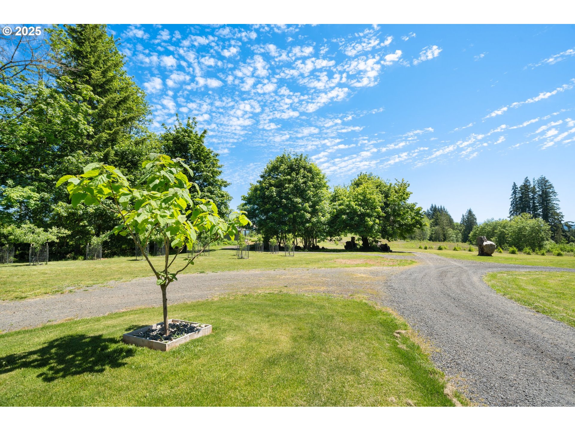 66020 Meissner Road Deer Island, OR 97054 - Photo 29 of 42