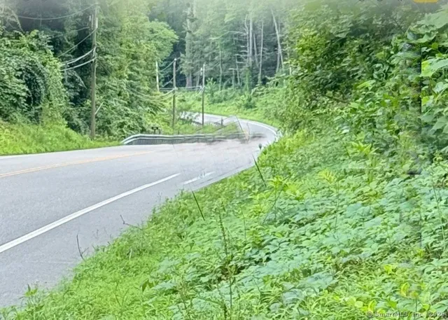 a view of a garden with a pathway