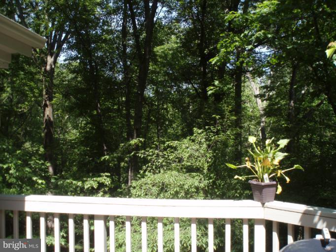 10705 Seneca Spring Way Gaithersburg, MD 20886 - Photo 15 of 28 View from Back DECK