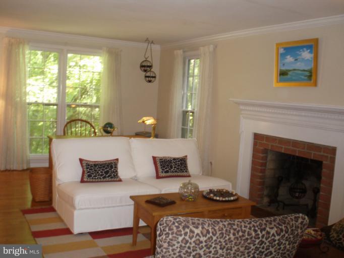 10705 Seneca Spring Way Gaithersburg, MD 20886 - Photo 16 of 28 Living Room with Fireplace