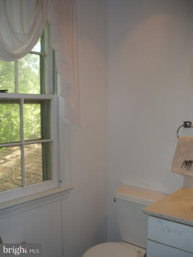 10705 Seneca Spring Way Gaithersburg, MD 20886 - Photo 22 of 28 View from Master Bath