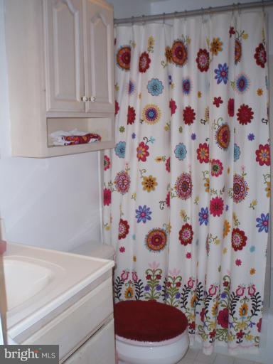 10705 Seneca Spring Way Gaithersburg, MD 20886 - Photo 23 of 28 Upstairs Hall Bath