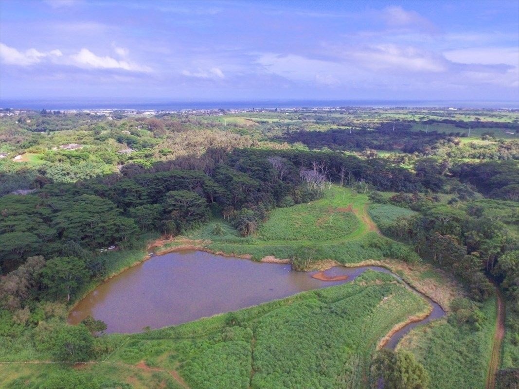 St, Unit 17B Kapaa, HI 96746 - Photo 1 of 1 Gallery Image 1