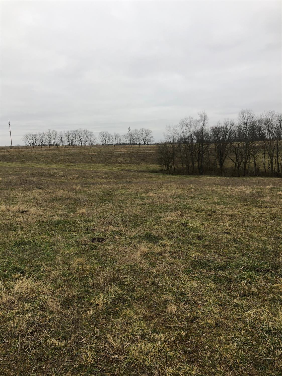 1 Monson/lake Road Cynthiana, KY 41031 - Photo 21 of 23 Photo 21