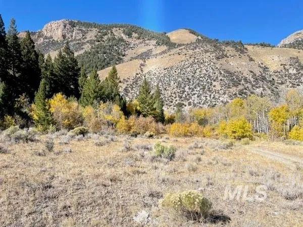 $750,000 | Badger Creek, Howe, ID 83244