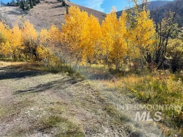 $750,000 | Badger Creek, Howe, ID 83244