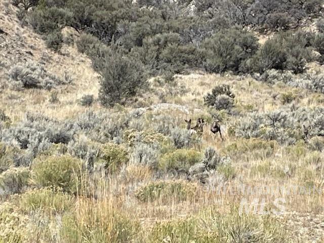 Badger Creek Howe, ID 83244 - Photo 23 of 40