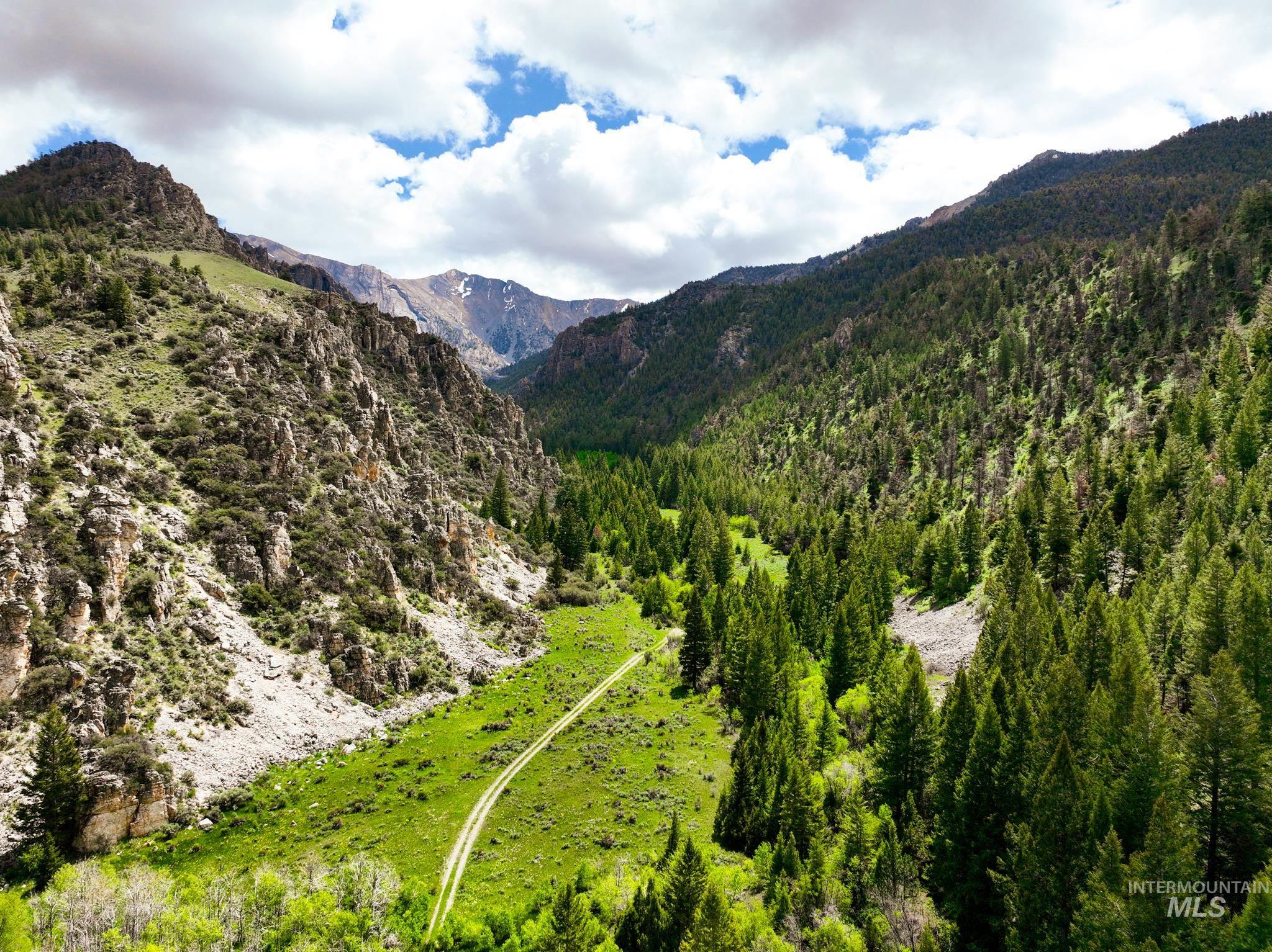 Badger Creek Howe, ID 83244 - Photo 27 of 40