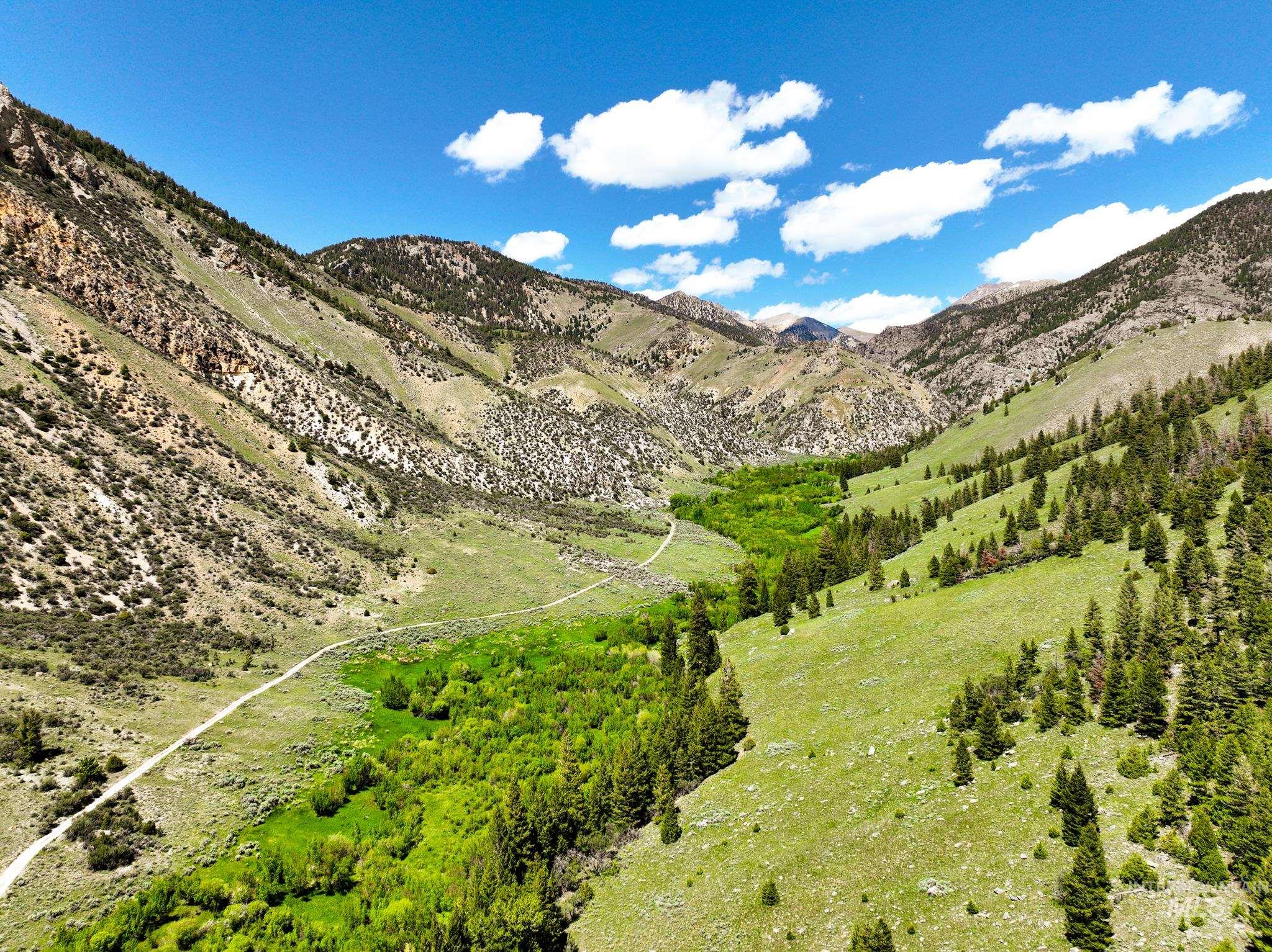 Badger Creek Howe, ID 83244 - Photo 36 of 40