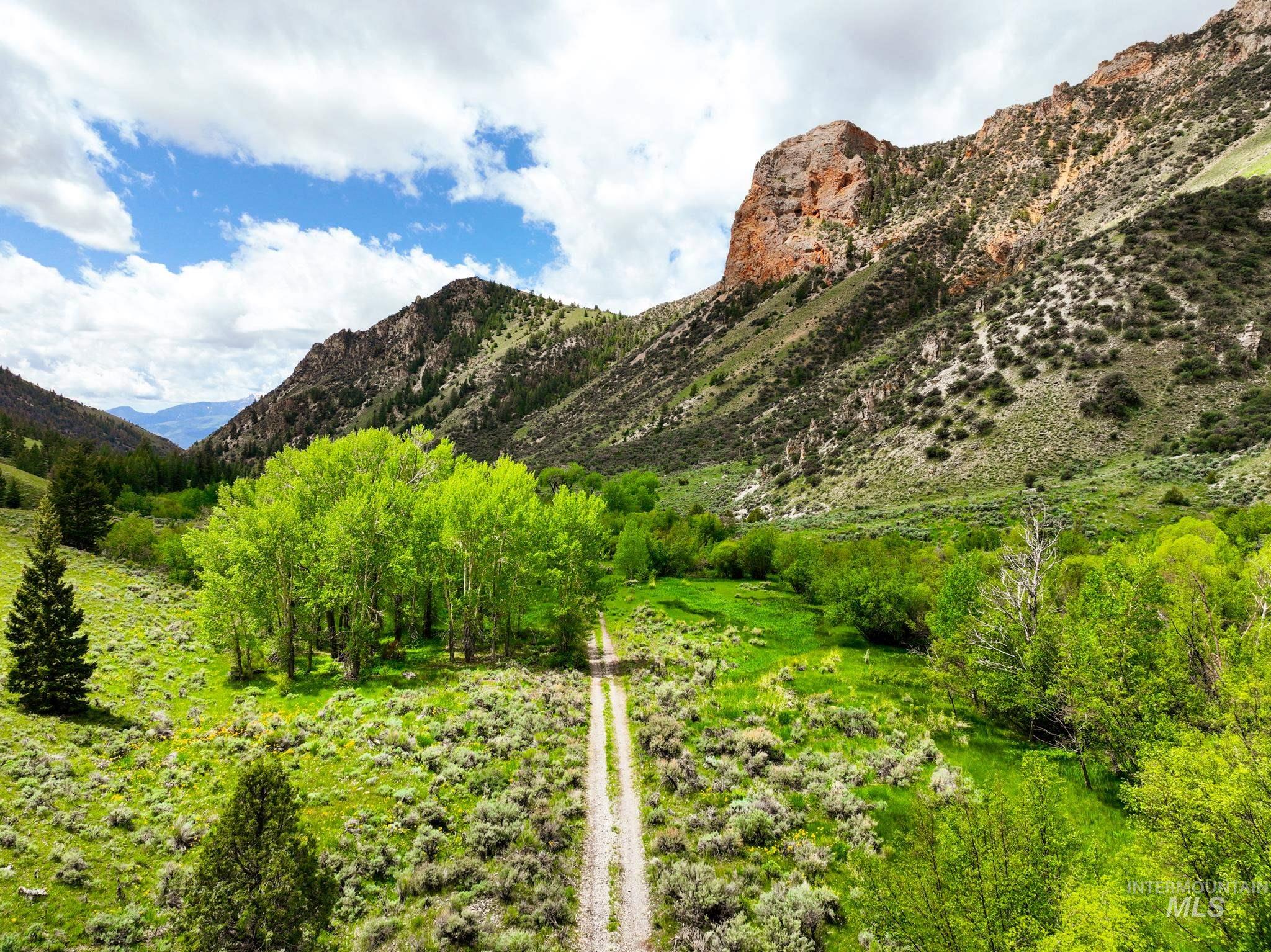 Badger Creek Howe, ID 83244 - Photo 38 of 40