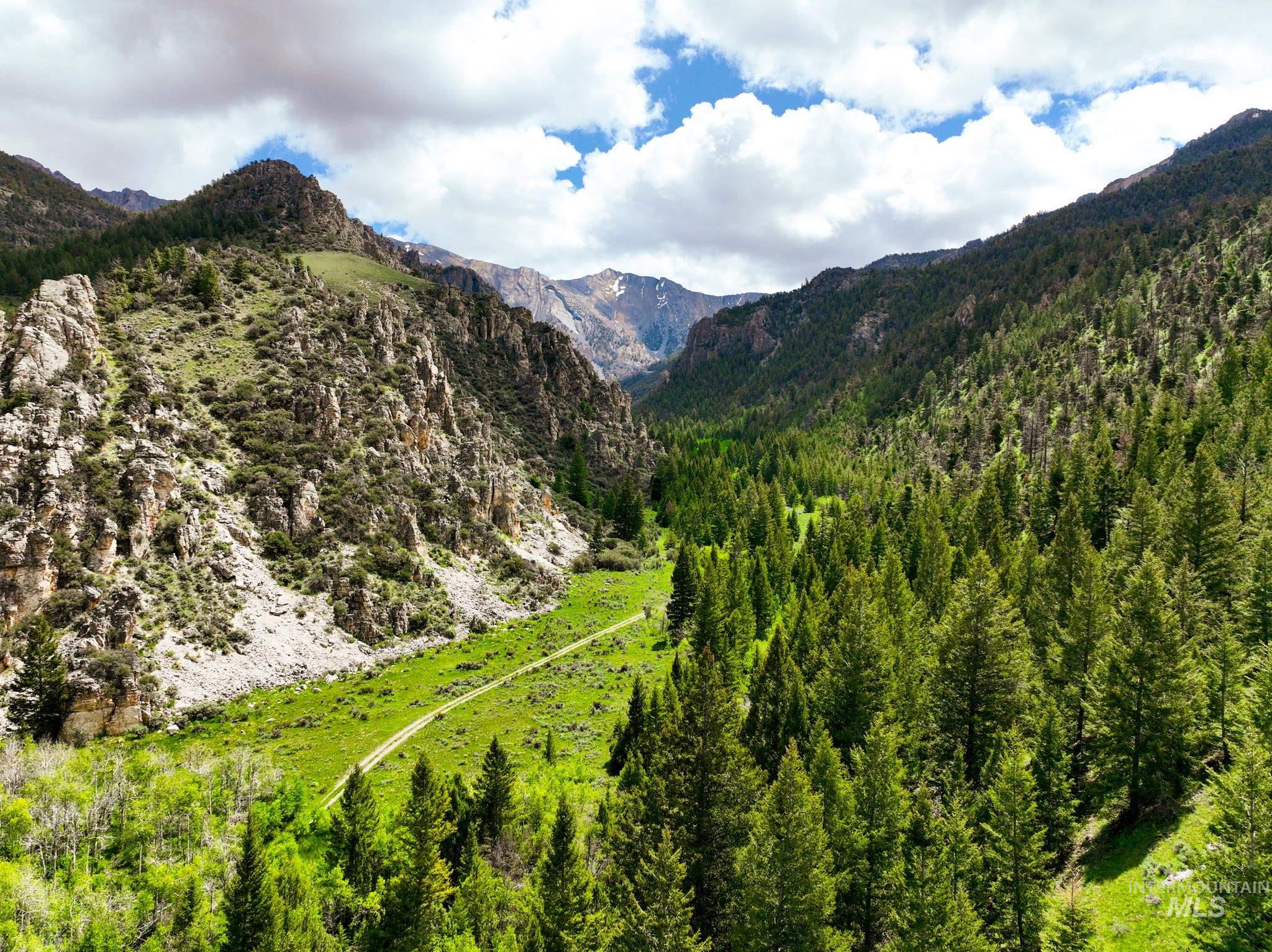 Badger Creek Howe, ID 83244 - Photo 40 of 40