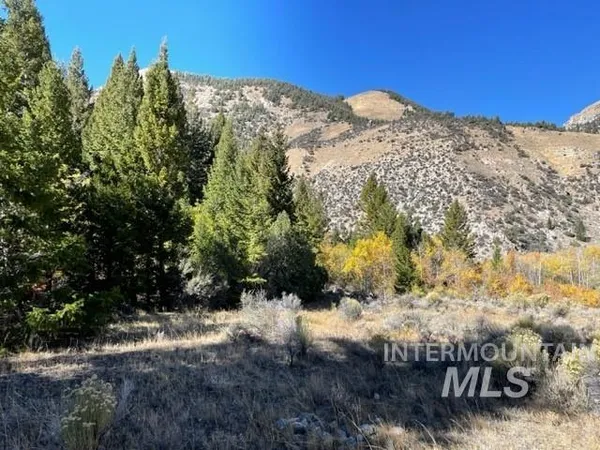 $750,000 | Badger Creek, Howe, ID 83244