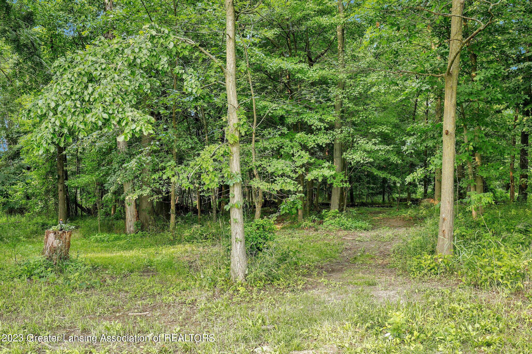 2233 Holt Road Williamston, MI 48895 - Photo 47 of 57 46-web-or-mls-Open Ended Media-46