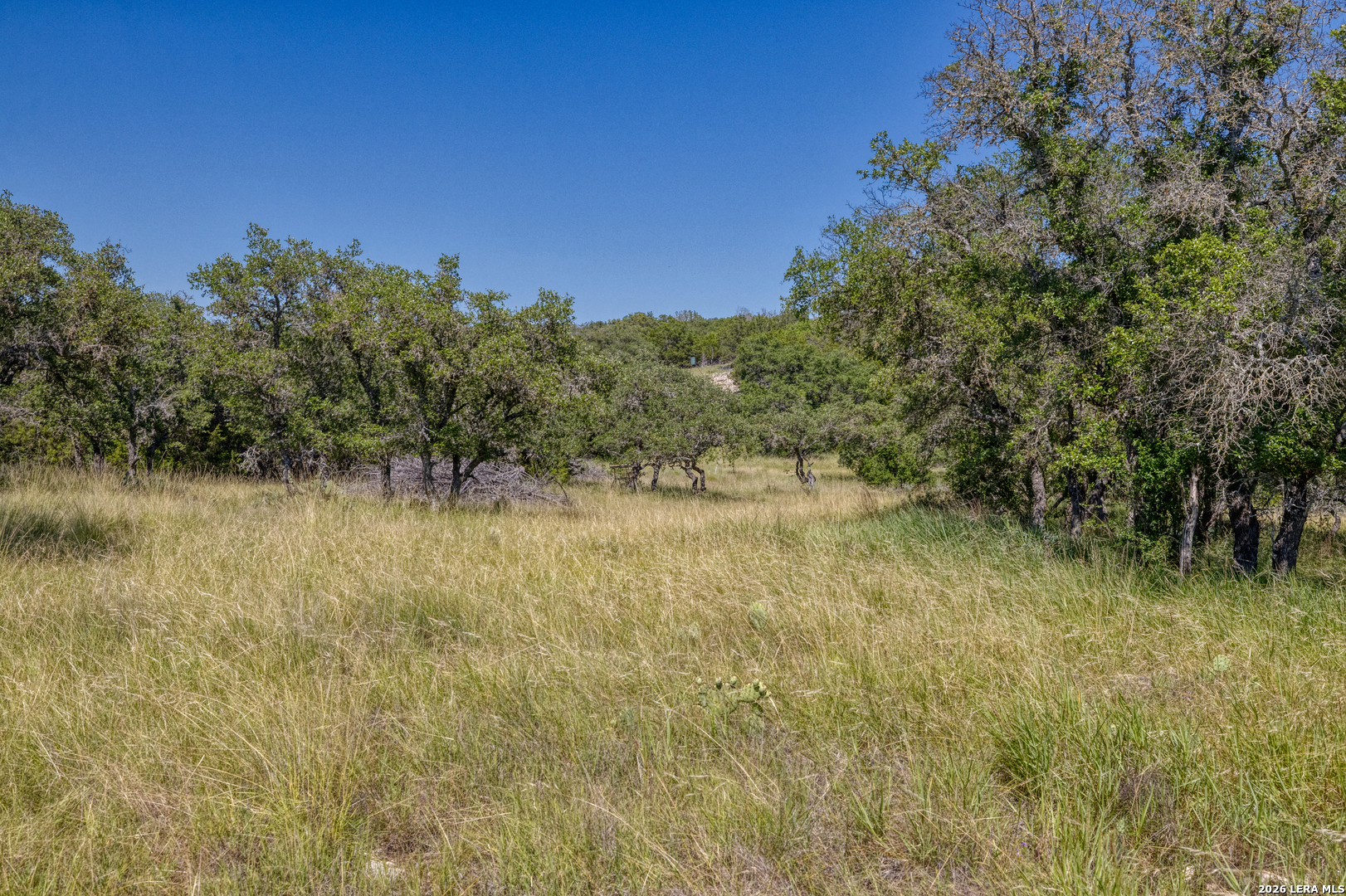 932 Wofford Road London, TX 76854 - Photo 46 of 50