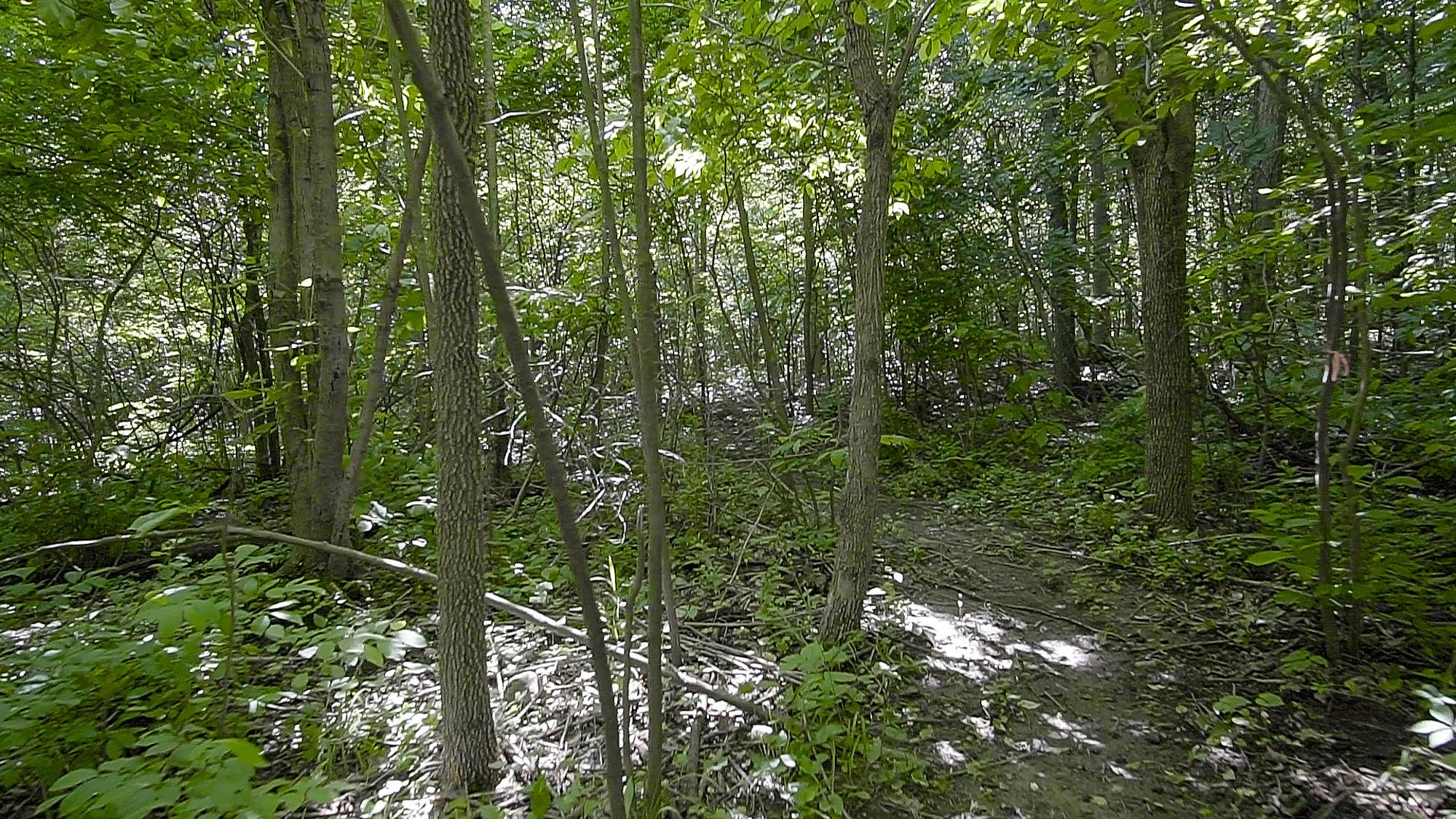 1046 Citation Road Southwest Pataskala, OH 43062 - Photo 4 of 5