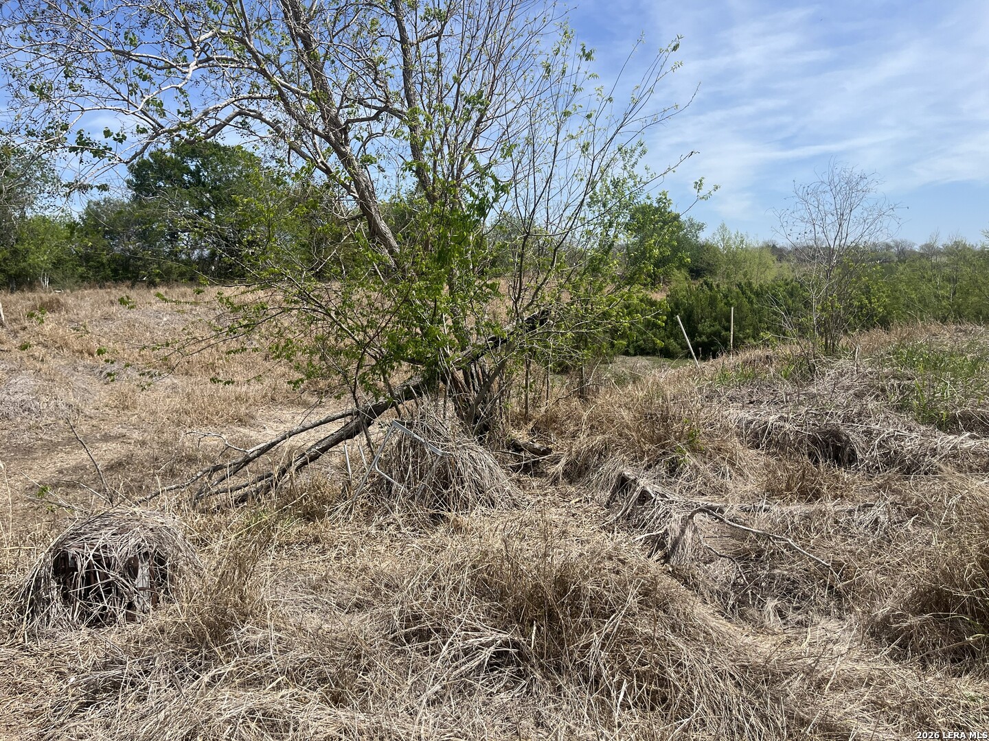 103 Clover Lane Mathis, TX 78368 - Photo 12 of 18