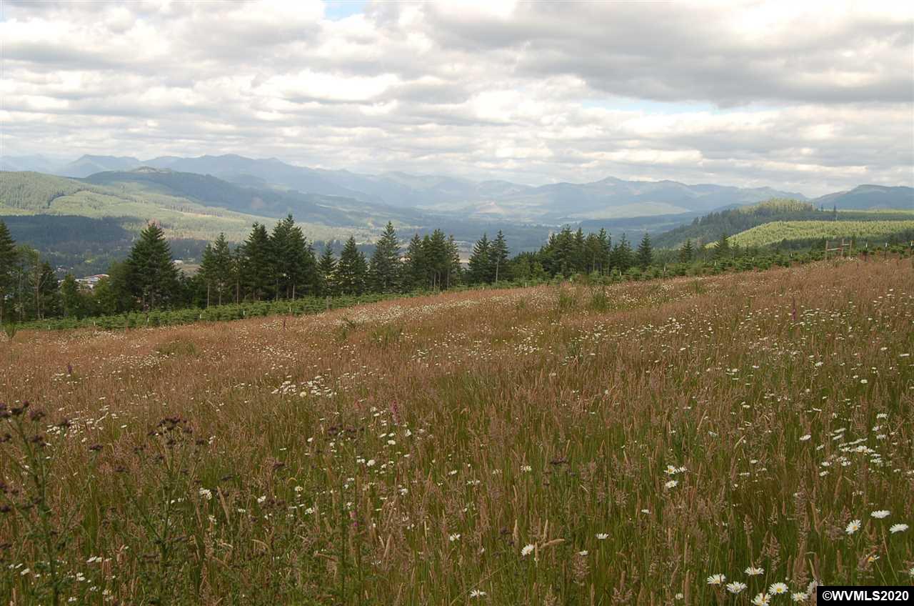 40593 North McCully Mountain Road Lyons, OR 97358 - Photo 2 of 6 Gallery Image 2