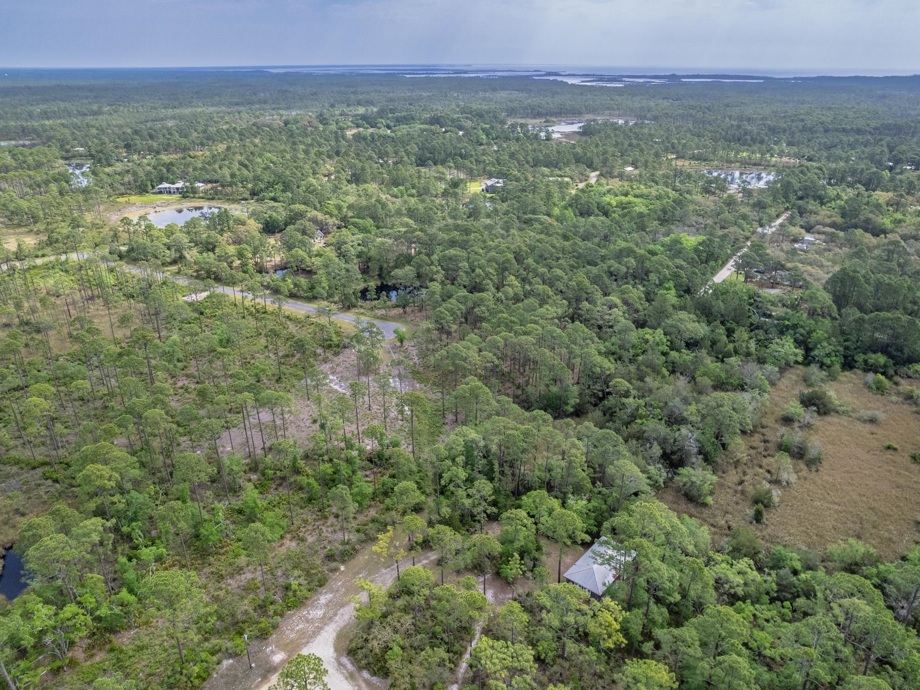 Xx Striffler Street Panacea, FL 32346 - Photo 11 of 29