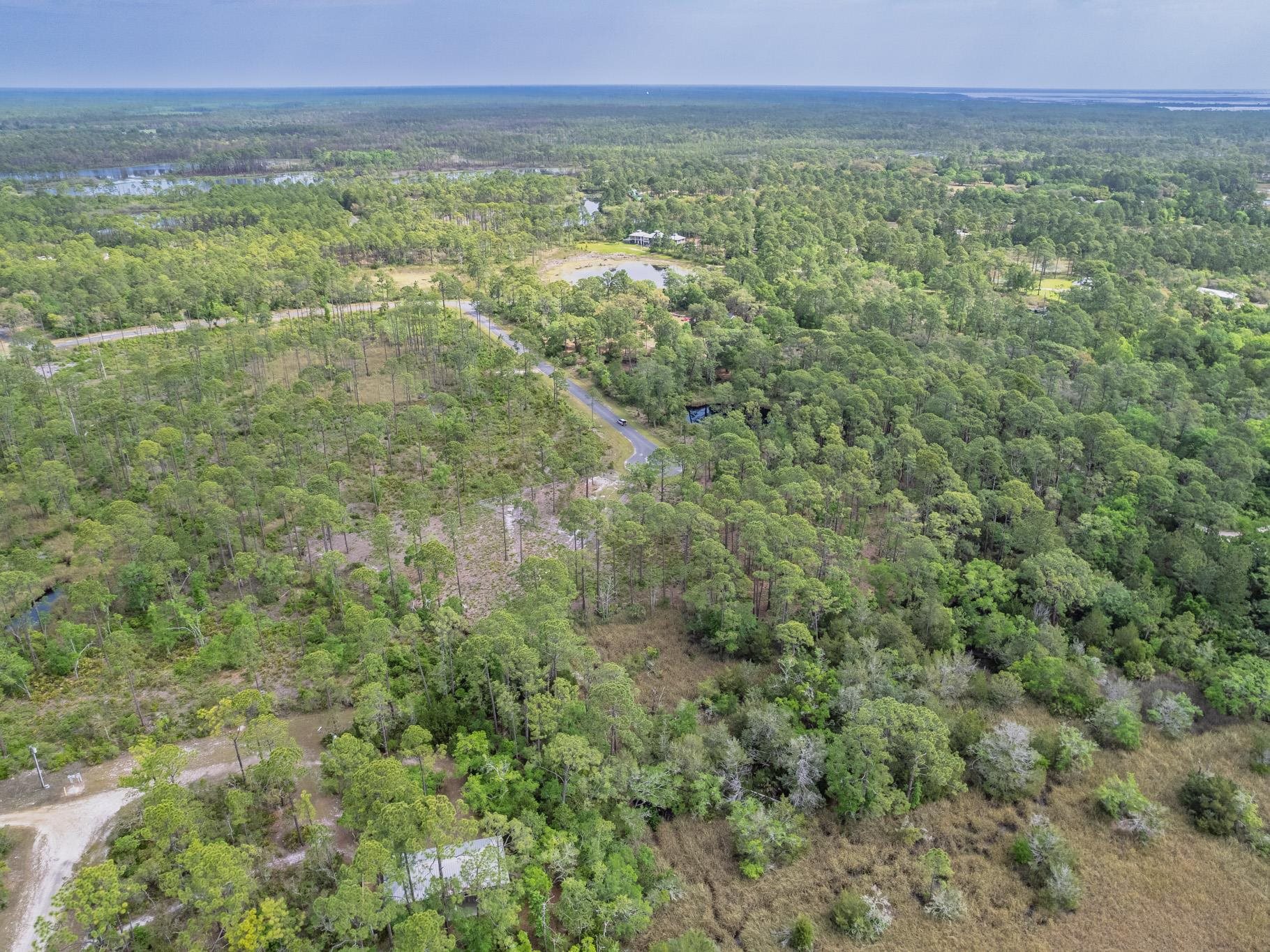 Xx Striffler Street Panacea, FL 32346 - Photo 13 of 29