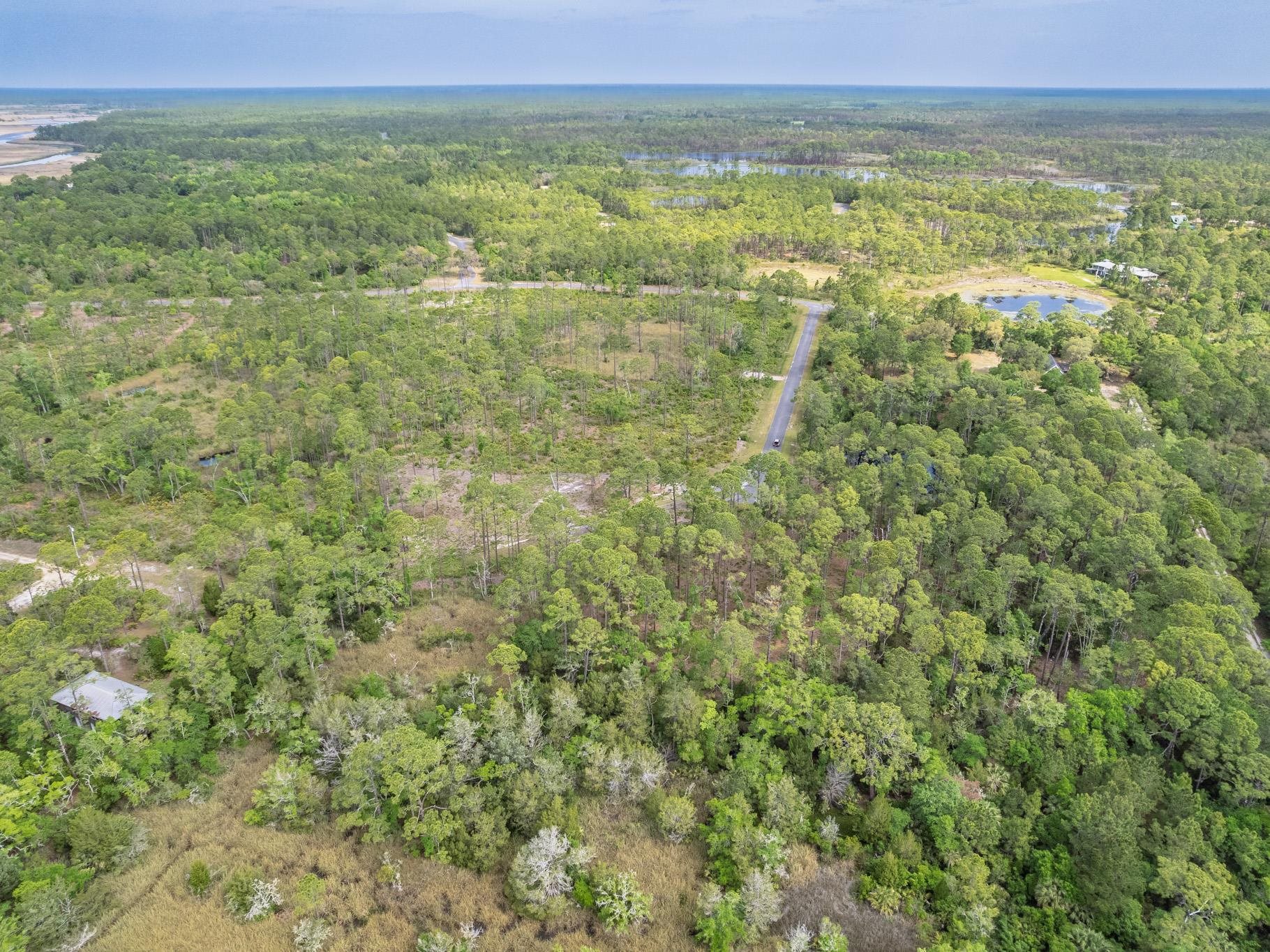 Xx Striffler Street Panacea, FL 32346 - Photo 15 of 29