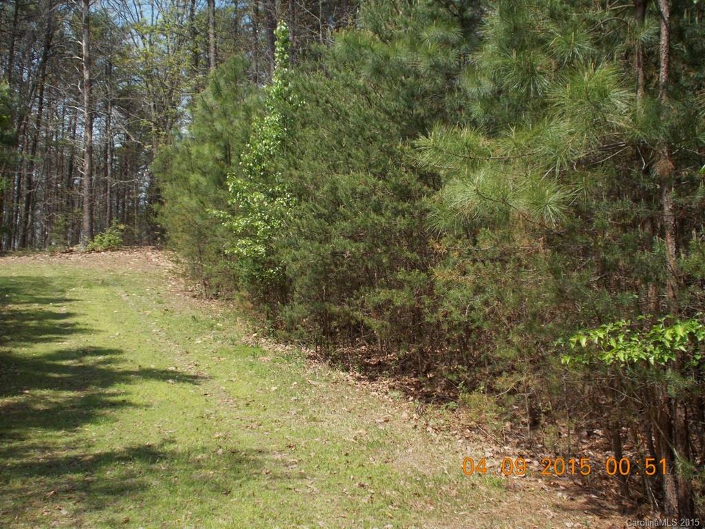 0 Southside Road, Unit 2 Lincolnton, NC 28092 - Photo 1 of 6 Gallery Image 1