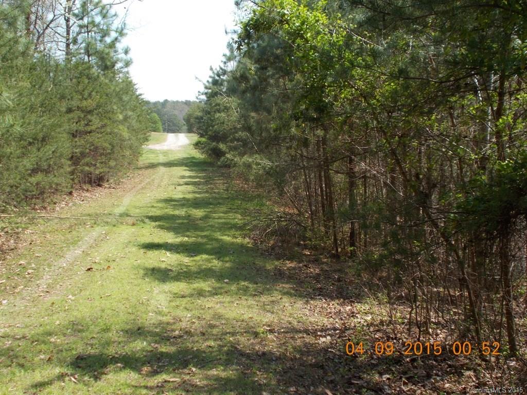 0 Southside Road, Unit 2 Lincolnton, NC 28092 - Photo 4 of 6 Gallery Image 4