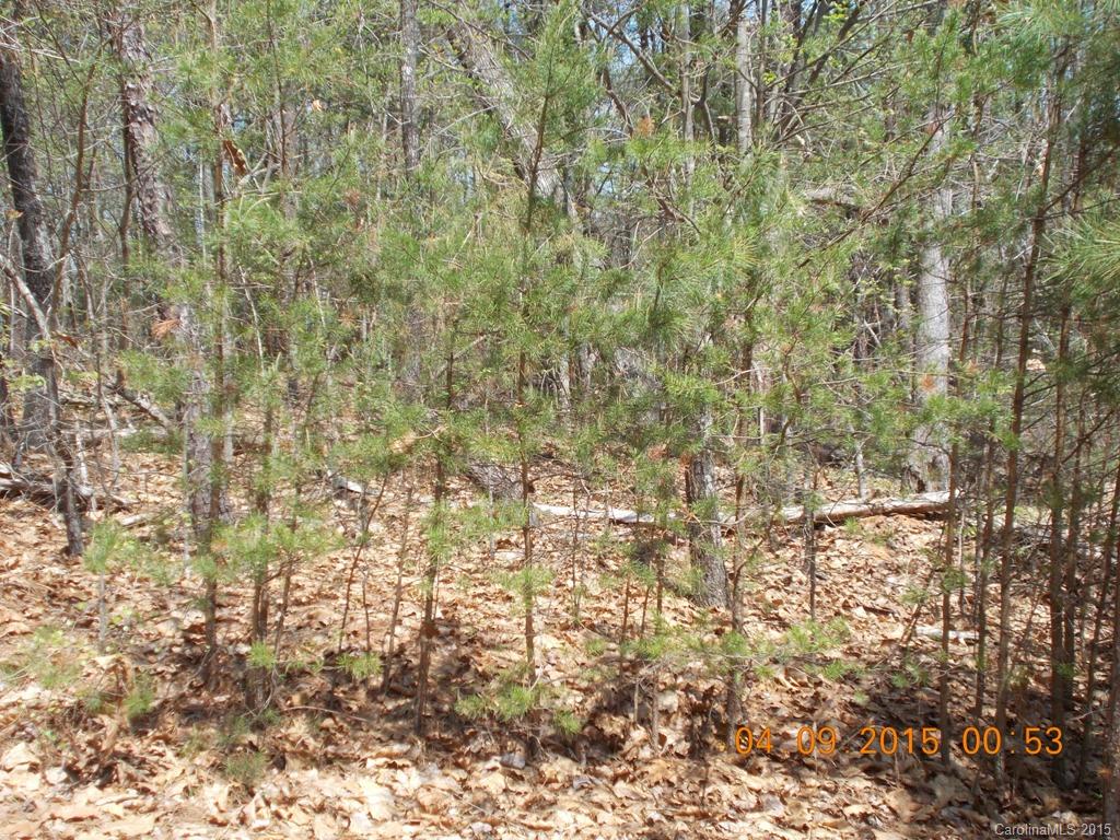 0 Southside Road, Unit 2 Lincolnton, NC 28092 - Photo 5 of 6 Gallery Image 5